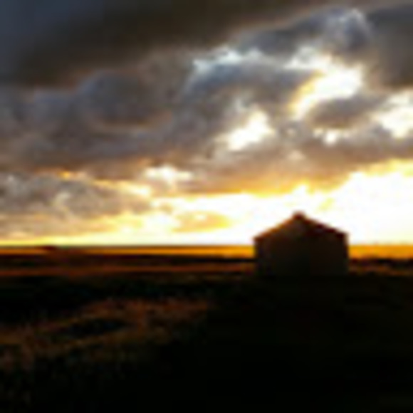 Meet your Posher, Jared - Picture 1 of 1